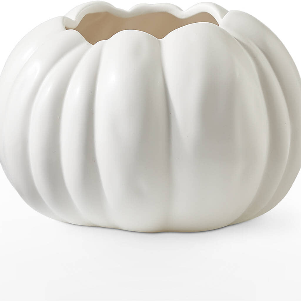 Pumpkin to Talk About Bouquet –  Beaver Creek Florist, Markham ON