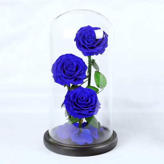 Love Forever Roses
