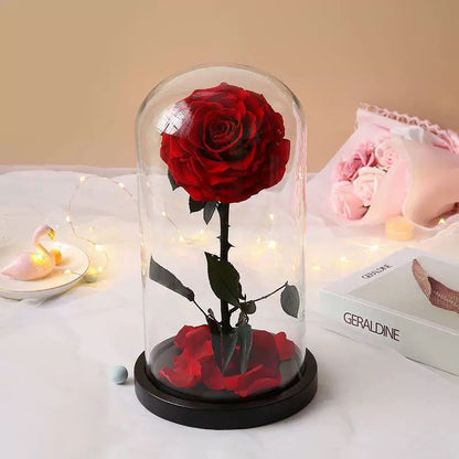 Only Love You  (Glass)